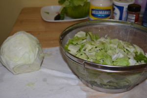 Easter Coleslaw Blog Pics (2)