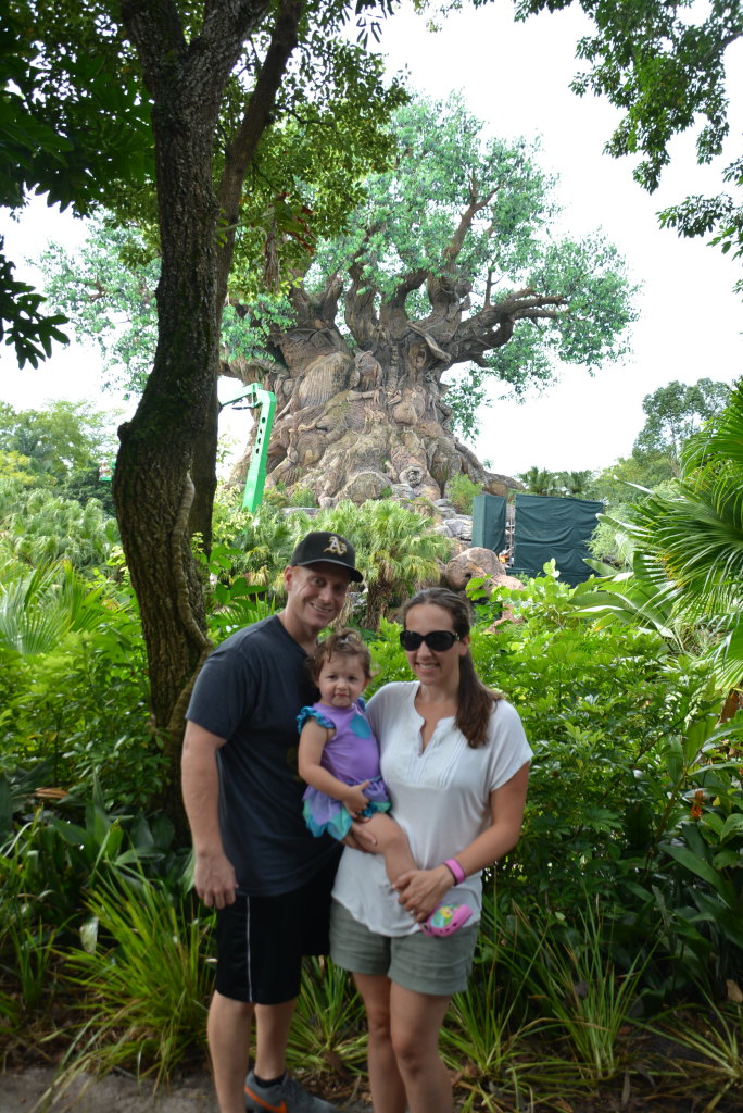 Animal Kingdom