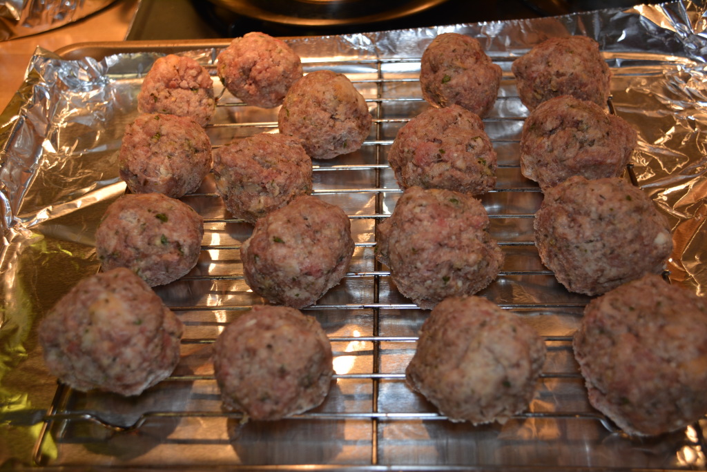 Meatballs (5)