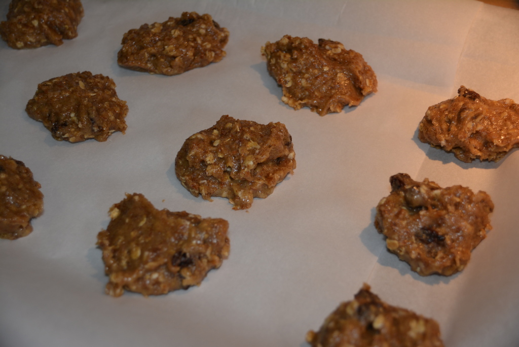 Baby Cakes Oatmeal Raisin Cookies (11)