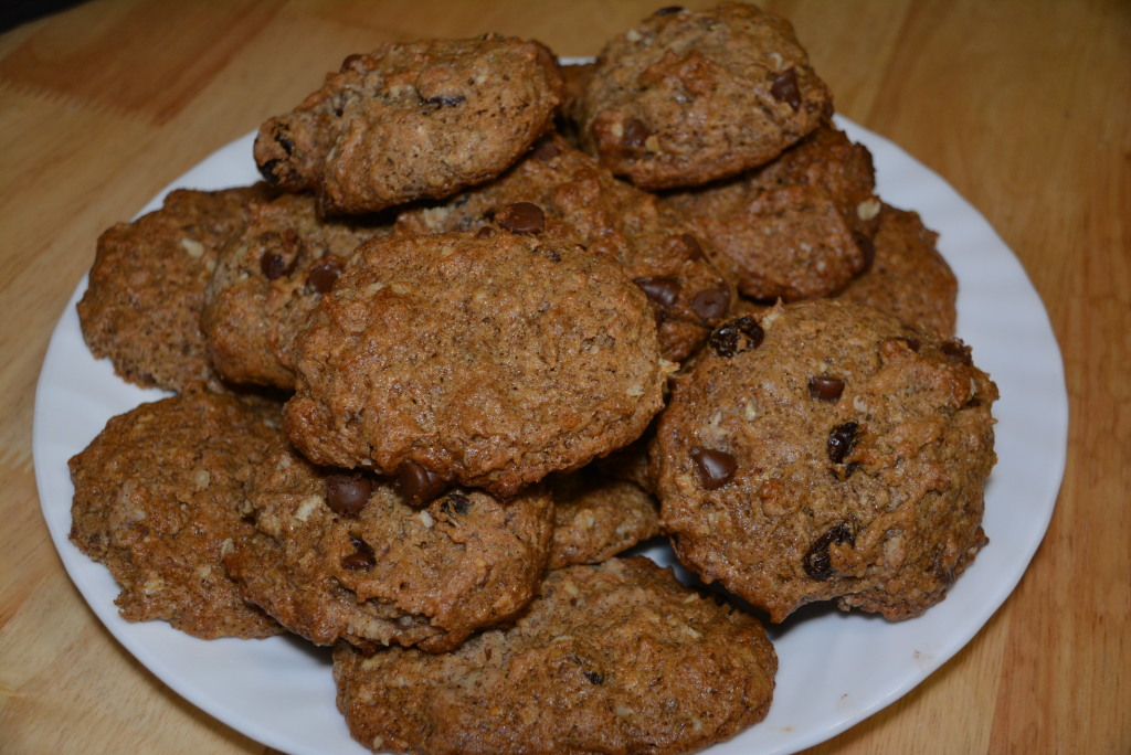 Baby Cakes Oatmeal Raisin Cookies (15)