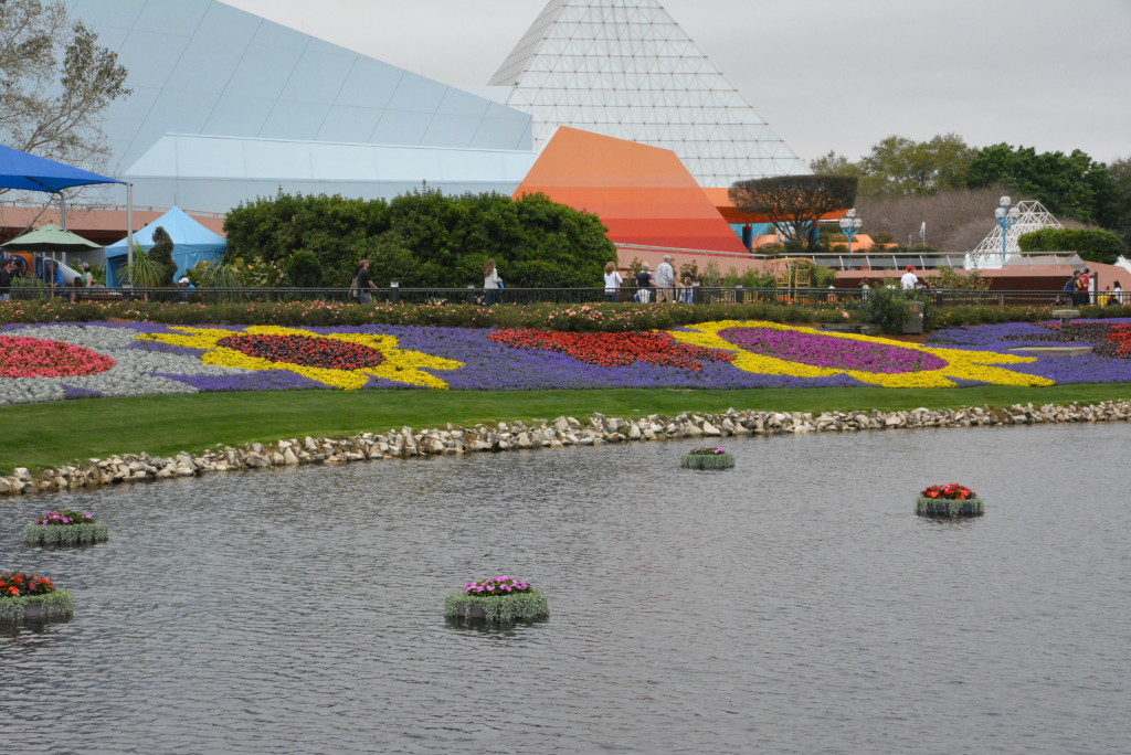 Gorgeous flowers around the water. Can you spot the Mickey?