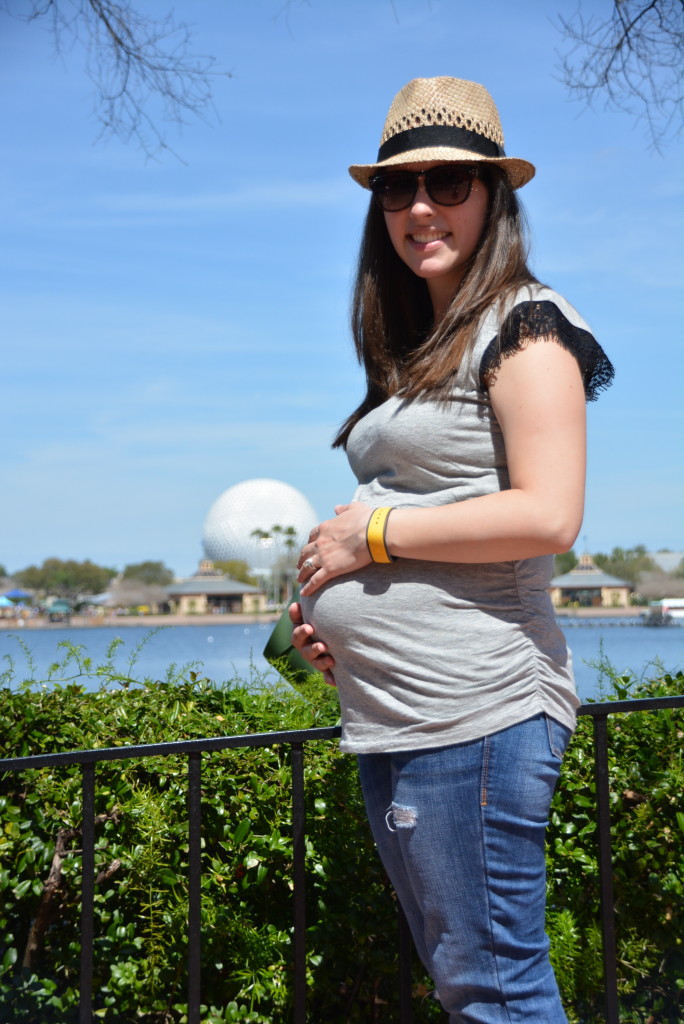 23 Weeks in Disney World